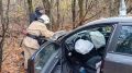 Две машины съехали в кювет в Фатежском районе