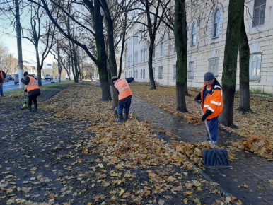 В Курске порядок на улицах и дорогах наводят 110 человек