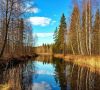 Как избавиться от зависимости от мнения окружающих: советы и размышления