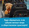 Уважаемые пассажиры, вы что-то потеряли в автобусе ООО "Транспортные линии"?