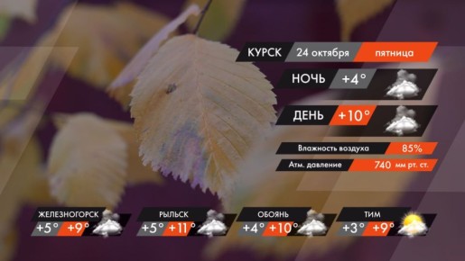 #ПогодаКурск. В пятницу 24 октября в Курске будет облачно с прояснениями