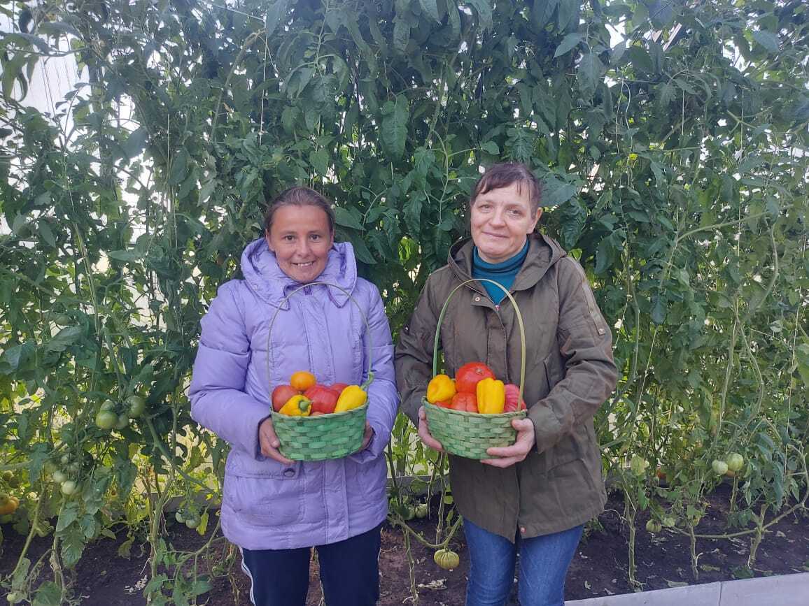 Середина осени, октябрь, приносит с собой укорачивающиеся дни и пронизывающий холод, небо затянуто плотными облаками, а в теплице Щигровского дома социального облуживания ещё теплится крошечная искорка лета Середина осени, октябрь, приносит с собой укорачивающиеся дни и пронизывающий холод, небо затянуто плотными облаками, а в теплице Щигровского дома социального облуживания ещё теплится крошечная искорка лета