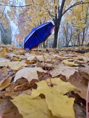 Доброе утро туманное!. А вот и первые заморозки: сегодня ночью столбики термометров опускались до -2°