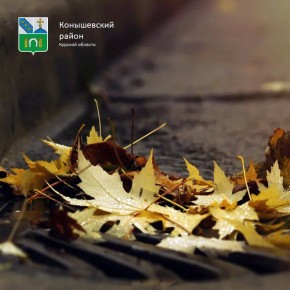 Доброе утро!. Сегодня пасмурно, +6°C в светлое время суток, преимущественно без осадков, ночью столбики термометров опустятся до +1°C