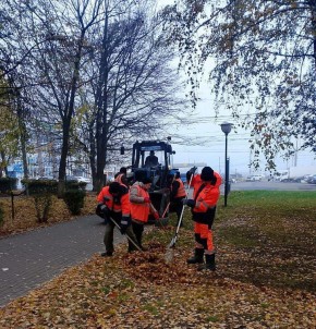 Наводят порядок в Курске 23 октября 111 человек