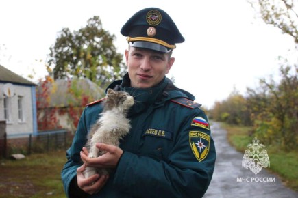 Курский инспектор МЧС спас котенка, спрятавшегося в колесе служебного авто