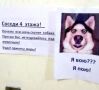 Как справиться с постоянным лаем соседской собаки