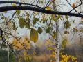 Доброе утро!. Сегодня нас ждт дождливый, но довольно тплый день
