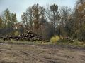 Минприроды Курской области продолжает осуществление ревизий патрулирования государственного лесного фонда