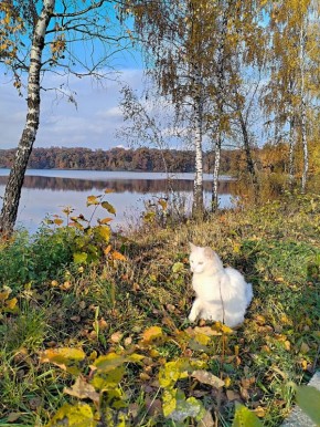 Доброе утро!. Пусть каждая минута нового дня подарит радость и отличное настроение! Фото Ларисы Копановой #Дмитриевский_район