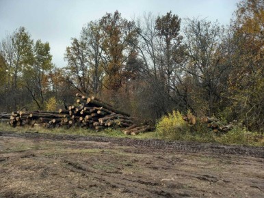 Минприроды Курской области продолжает осуществление ревизий патрулирования государственного лесного фонда