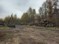 В лесах Курской области проводят ревизии