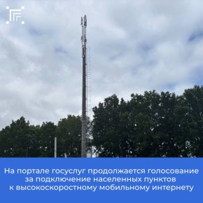 Голосование на портале госуслуг по подключению населенных пунктов с числом жителей от 100 до 1 000 человек к высокоскоростному мобильному интернету в 2026 году продолжается до 9 ноября 2025 года включительно