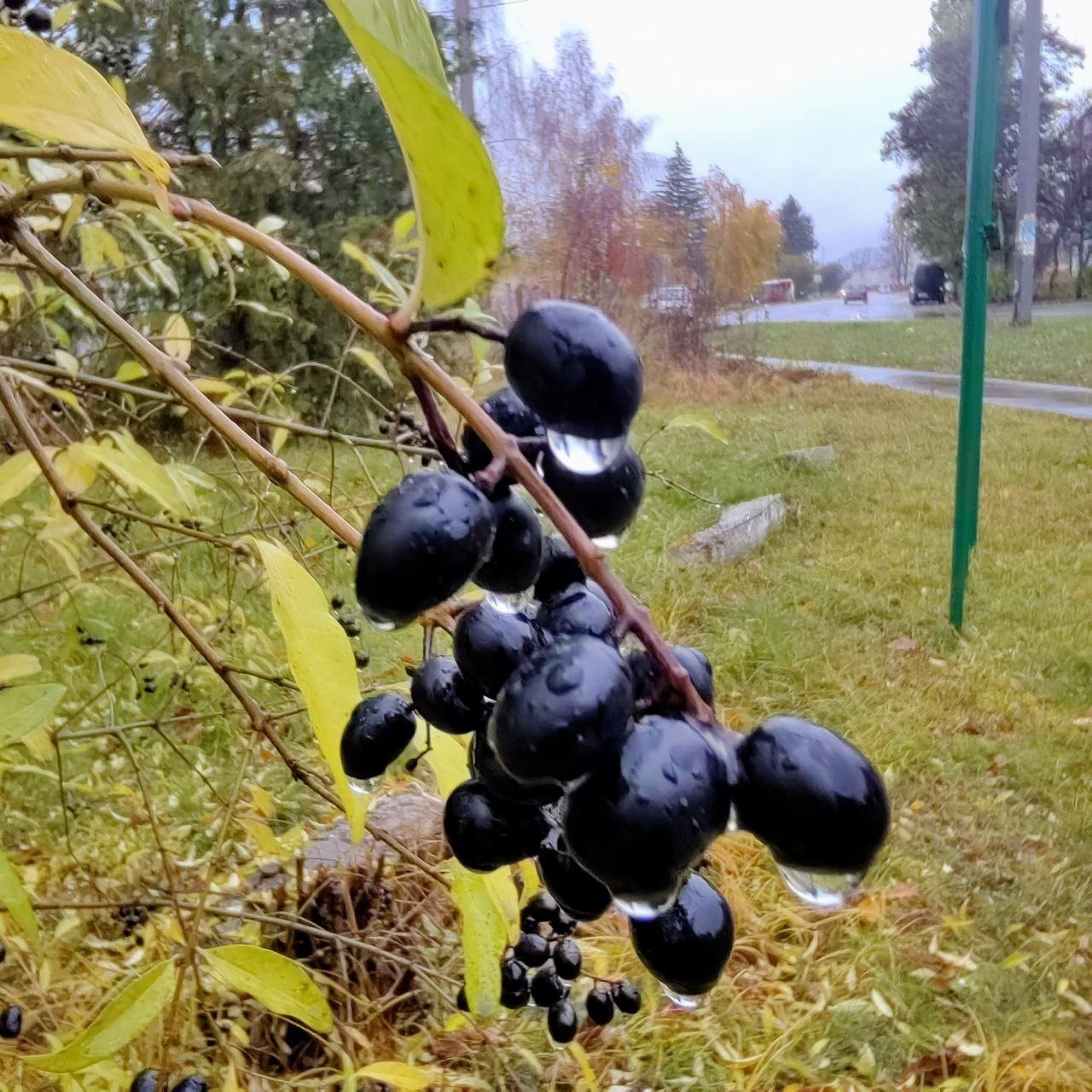 Доброе утро, Щигровский район! Доброе утро, Щигровский район!