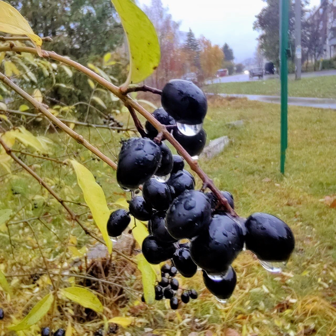 Доброе утро, Щигровский район! Доброе утро, Щигровский район!