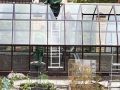 Стеклянные теплицы: обновление или излишество?