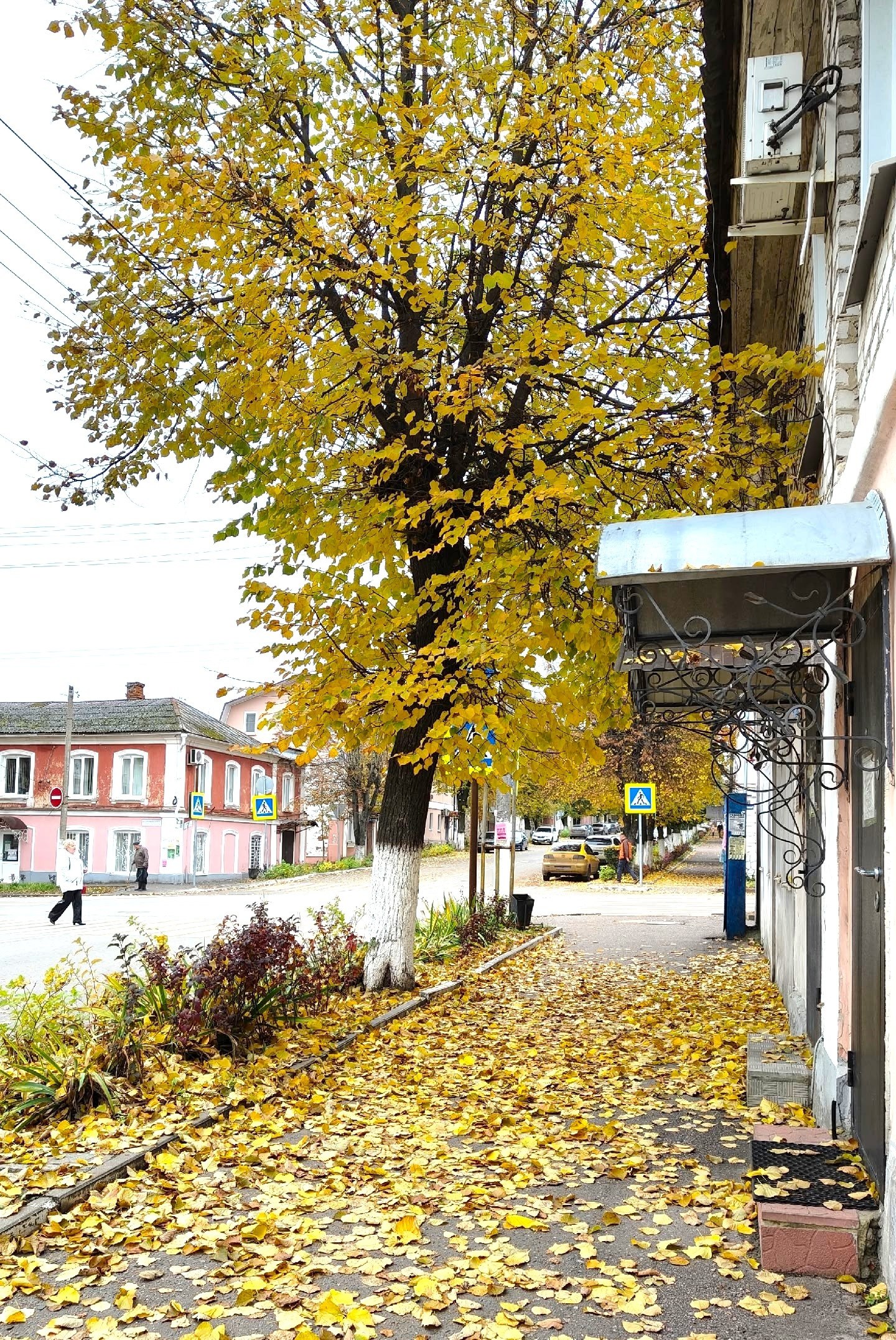 Доброе утро! Октябрь подходит к концу Доброе утро! Октябрь подходит к концу