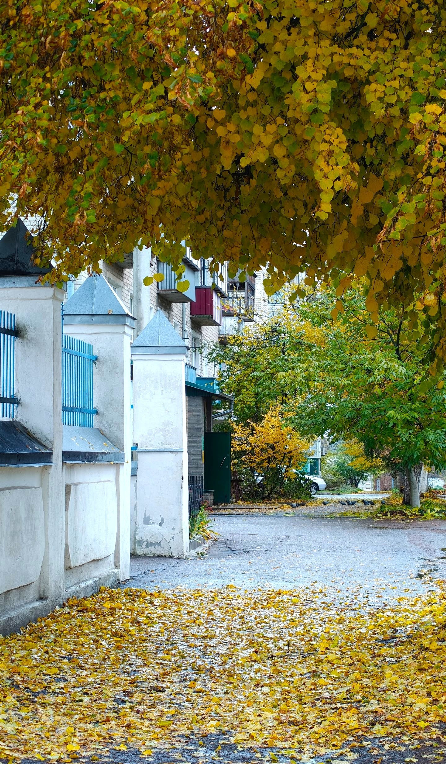 Доброе утро! Октябрь подходит к концу Доброе утро! Октябрь подходит к концу