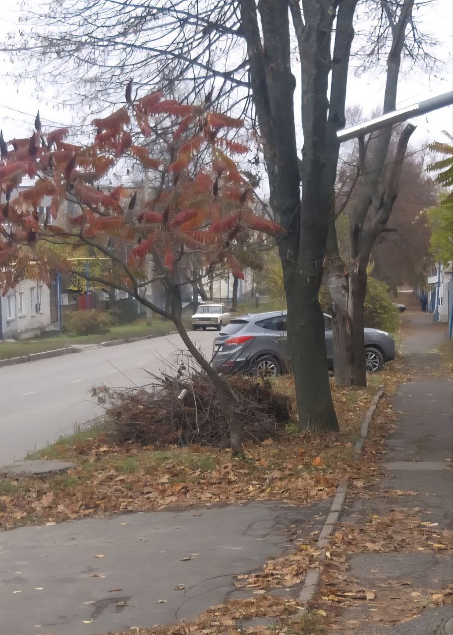 Алексей Клемешов: Сегодня усилиями сотрудников МУП "Льговское" была проведена уборка контейнерной площадки, расположенной на улице Льва Толстого Алексей Клемешов: Сегодня усилиями сотрудников МУП "Льговское" была проведена уборка контейнерной площадки, расположенной на улице Льва Толстого