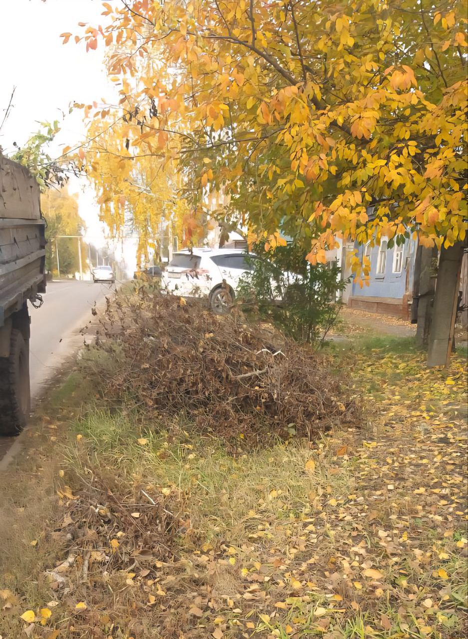 Алексей Клемешов: Сегодня усилиями сотрудников МУП "Льговское" была проведена уборка контейнерной площадки, расположенной на улице Льва Толстого Алексей Клемешов: Сегодня усилиями сотрудников МУП "Льговское" была проведена уборка контейнерной площадки, расположенной на улице Льва Толстого