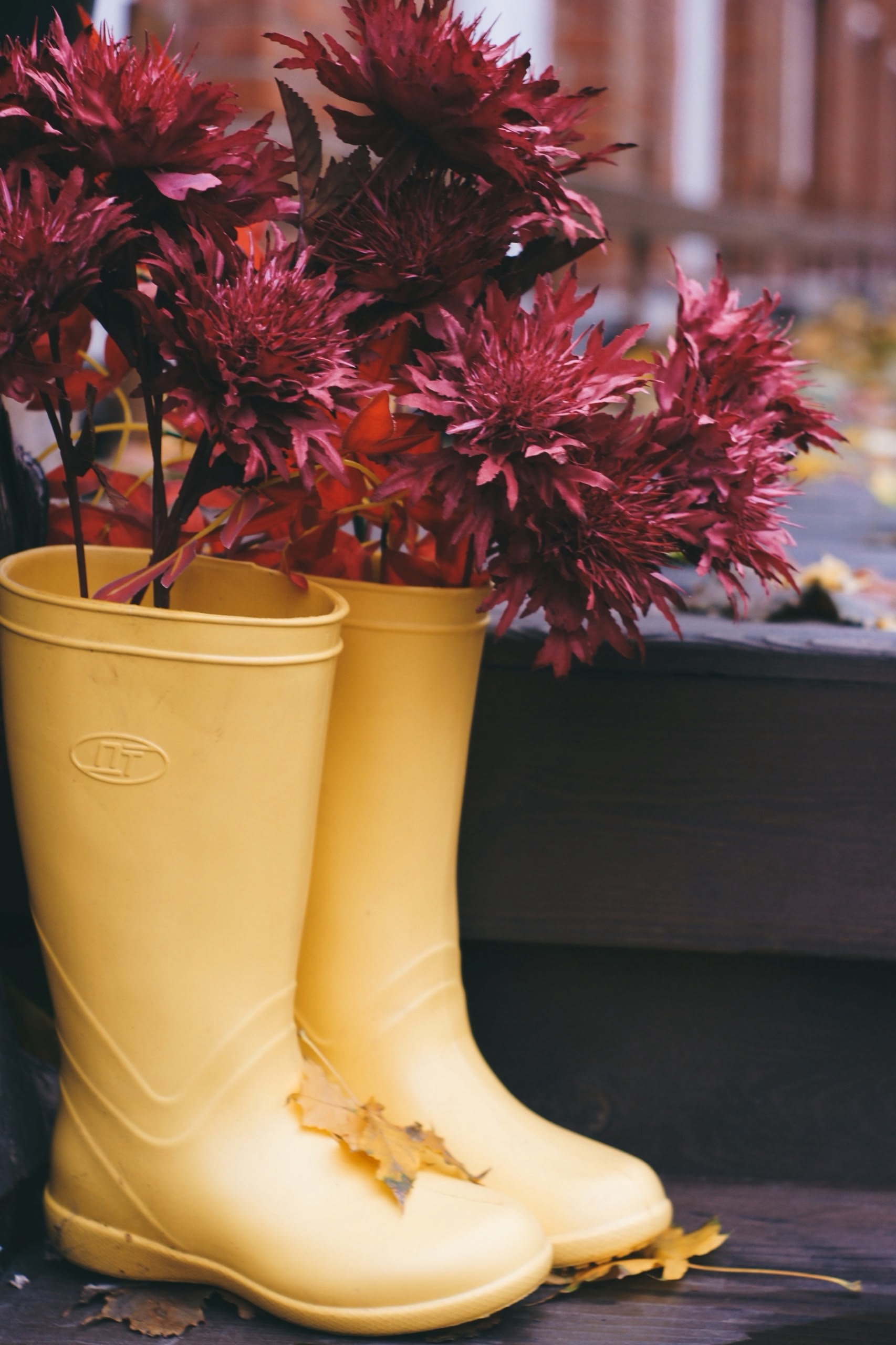 Доброе утро!. Сегодня, в среду, 29 октября по прогнозу регионального отделения МЧС ожидается облачная погода с прояснениями