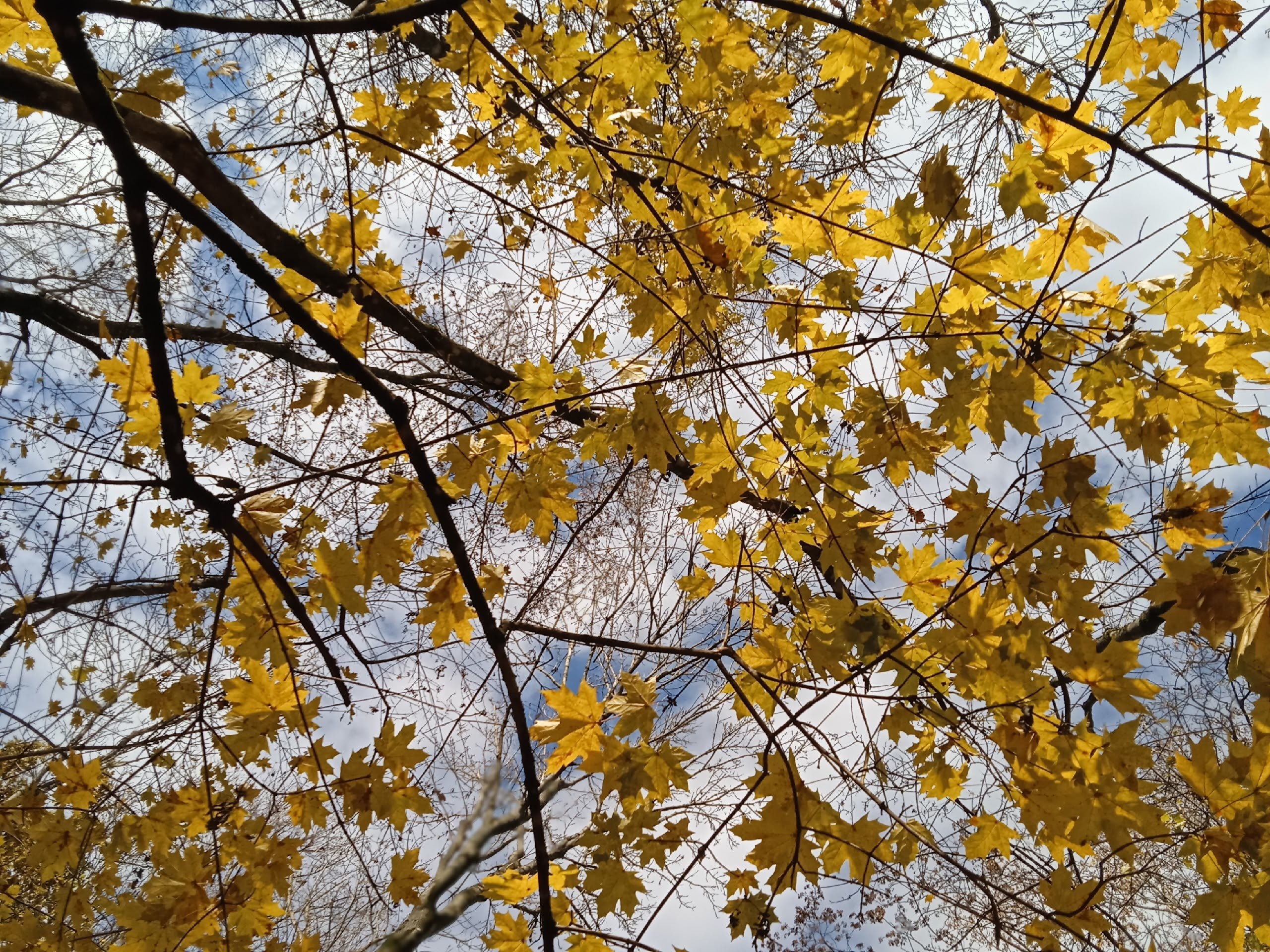 Доброе утро, Пристенский район!