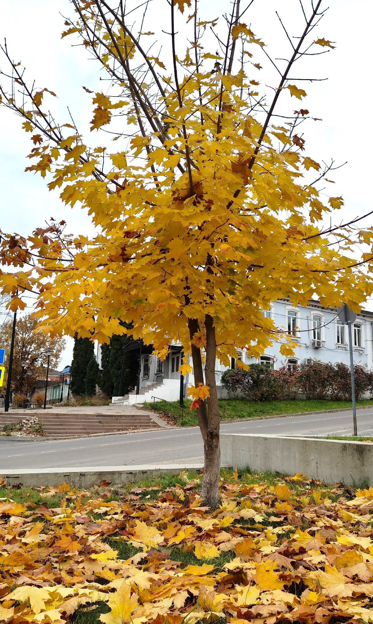 Доброе утро! Октябрь подходит к концу Доброе утро! Октябрь подходит к концу