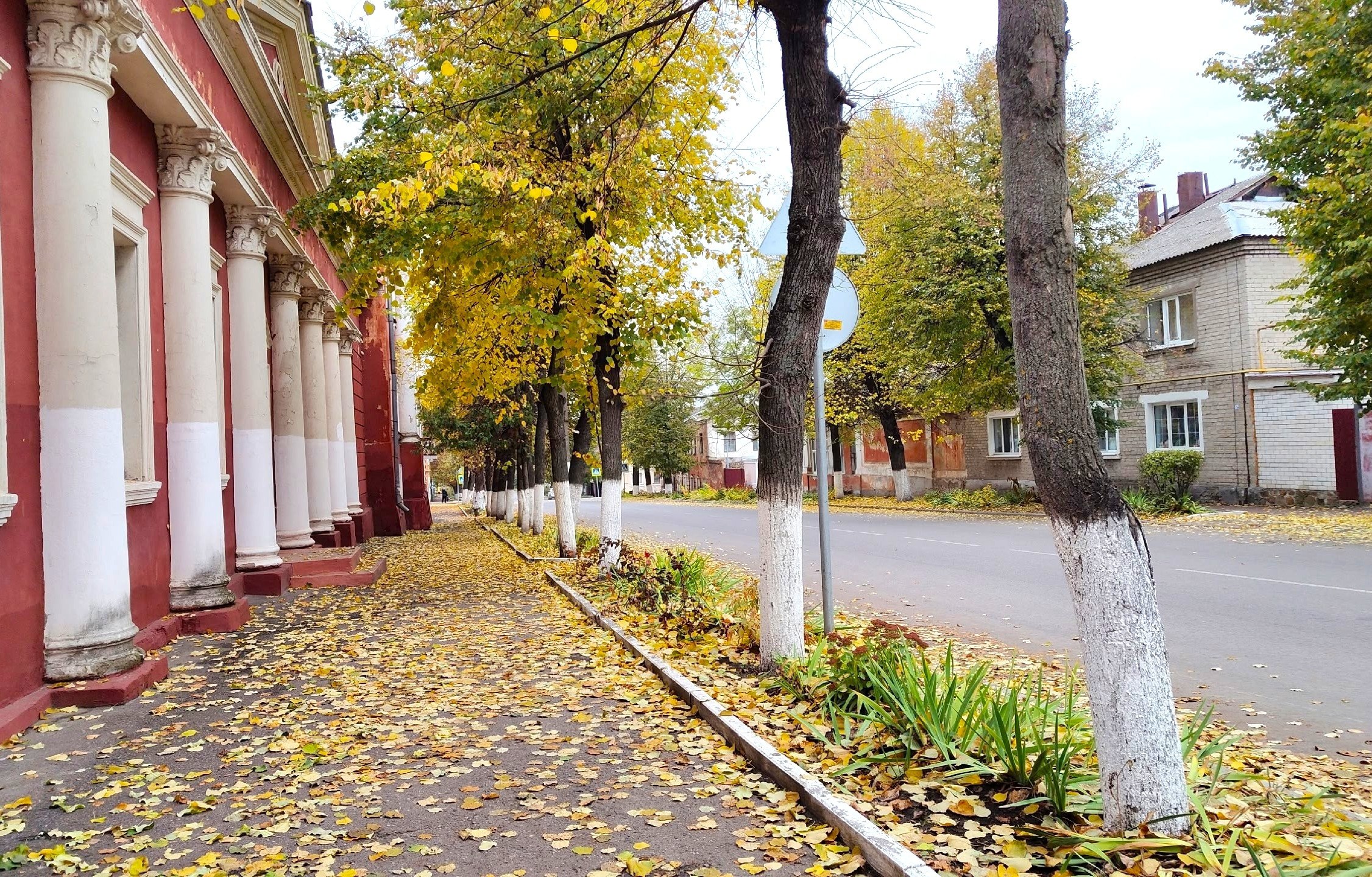 Доброе утро! Октябрь подходит к концу Доброе утро! Октябрь подходит к концу