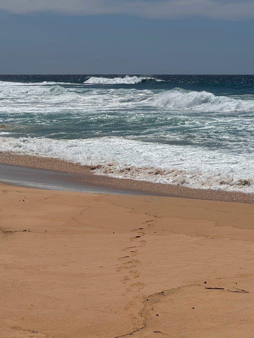 «В детстве думал, что тут всё вверх ногами!» – смеется 39-летний курянин, который сейчас путешествует по Австралии на велосипеде «В детстве думал, что тут всё вверх ногами!» – смеется 39-летний курянин, который сейчас путешествует по Австралии на велосипеде
