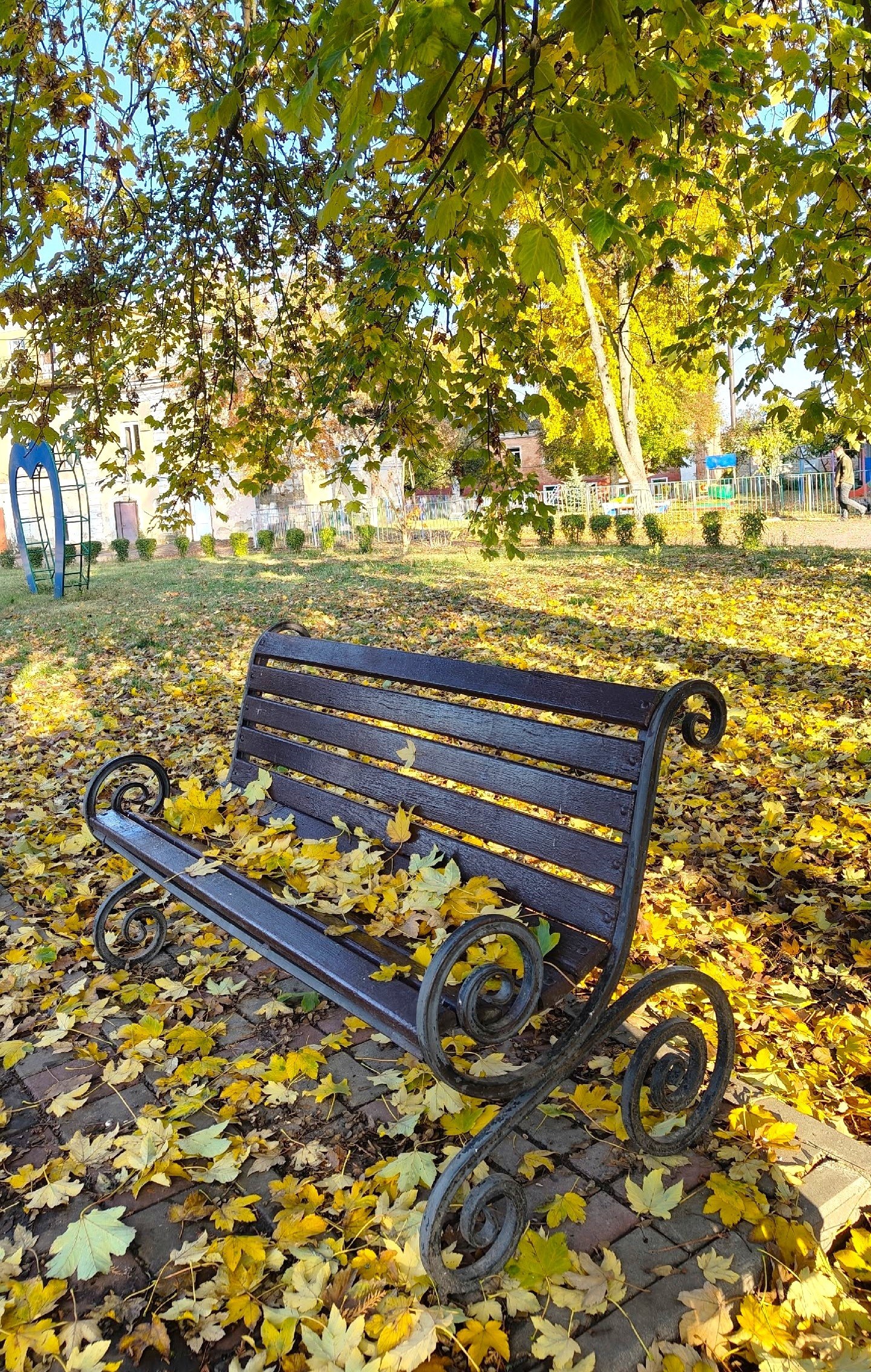 Доброе утро! Октябрь подходит к концу Доброе утро! Октябрь подходит к концу