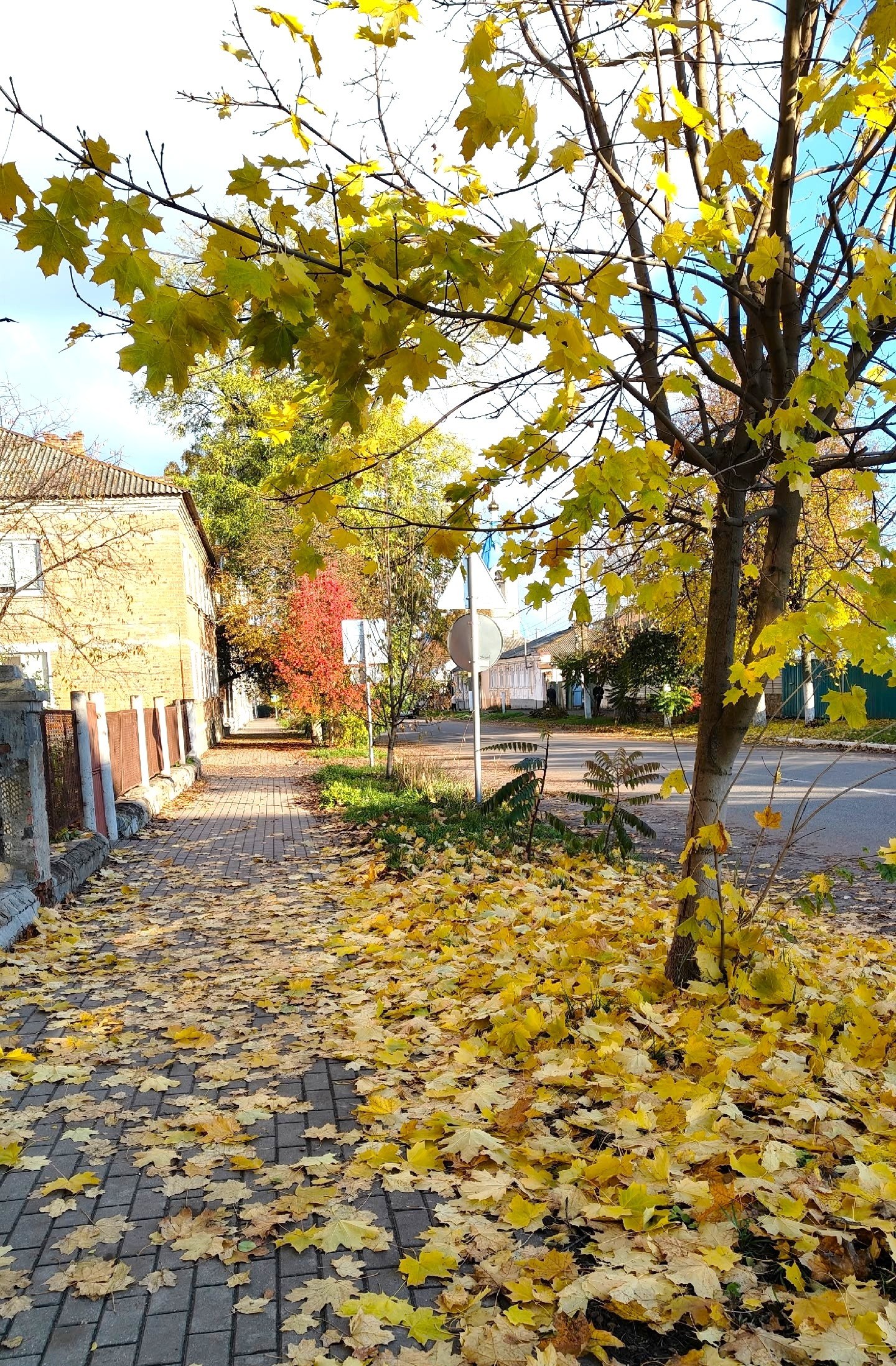 Доброе утро! Октябрь подходит к концу Доброе утро! Октябрь подходит к концу