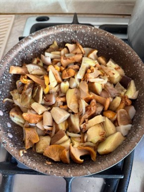 За сезон в Курской области грибами отравились 20 человек