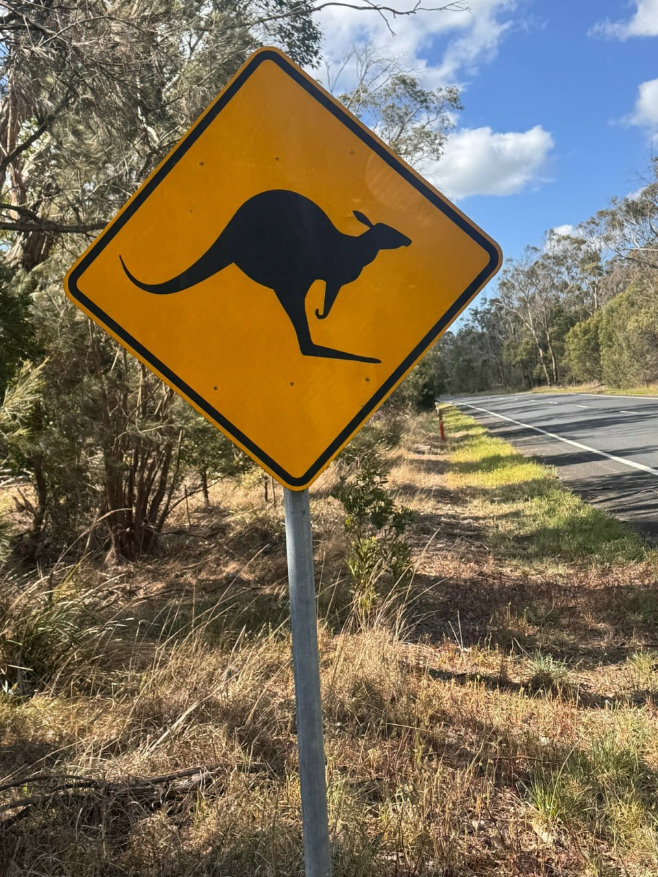 «В детстве думал, что тут всё вверх ногами!» – смеется 39-летний курянин, который сейчас путешествует по Австралии на велосипеде «В детстве думал, что тут всё вверх ногами!» – смеется 39-летний курянин, который сейчас путешествует по Австралии на велосипеде