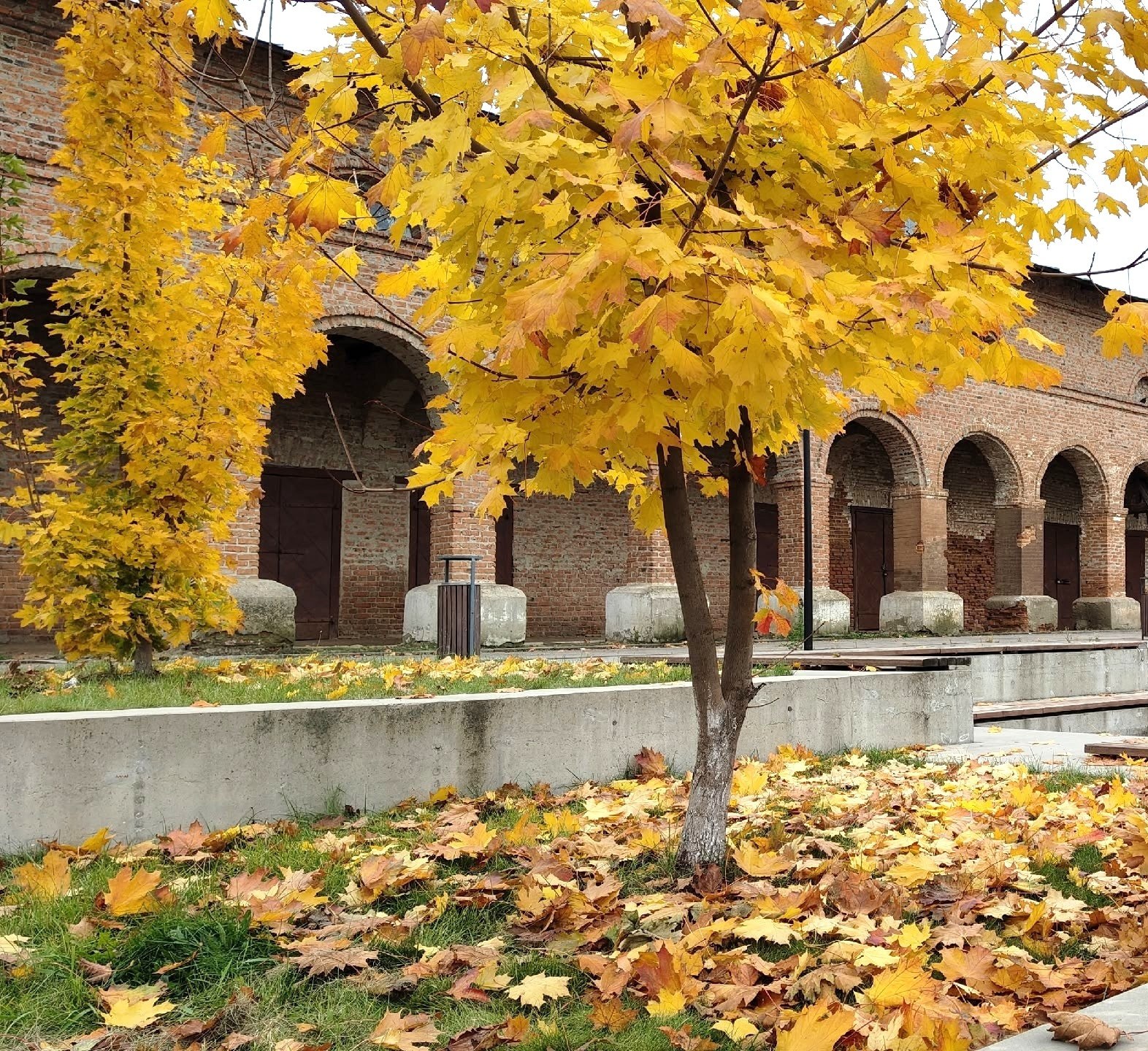 Доброе утро! Октябрь подходит к концу Доброе утро! Октябрь подходит к концу