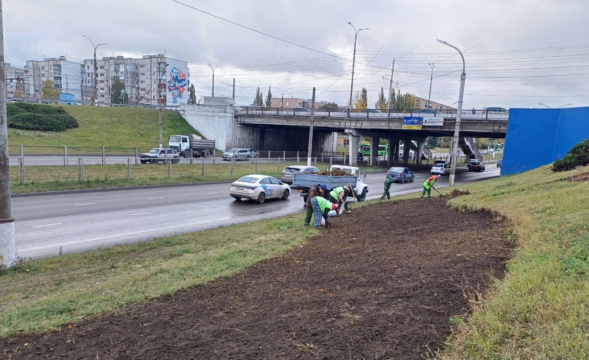 В Курске готовят городские клумбы к зиме В Курске готовят городские клумбы к зиме