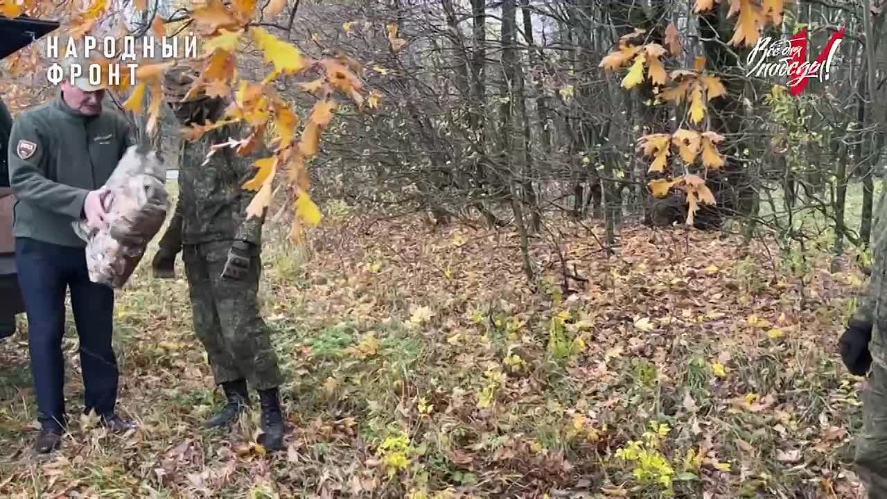 "Для нас нет границ!". Куряне доблестно защищают нашу Родину на различных направлениях - от родного приграничья до Херсона, ежедневно отстаивая интересы страны