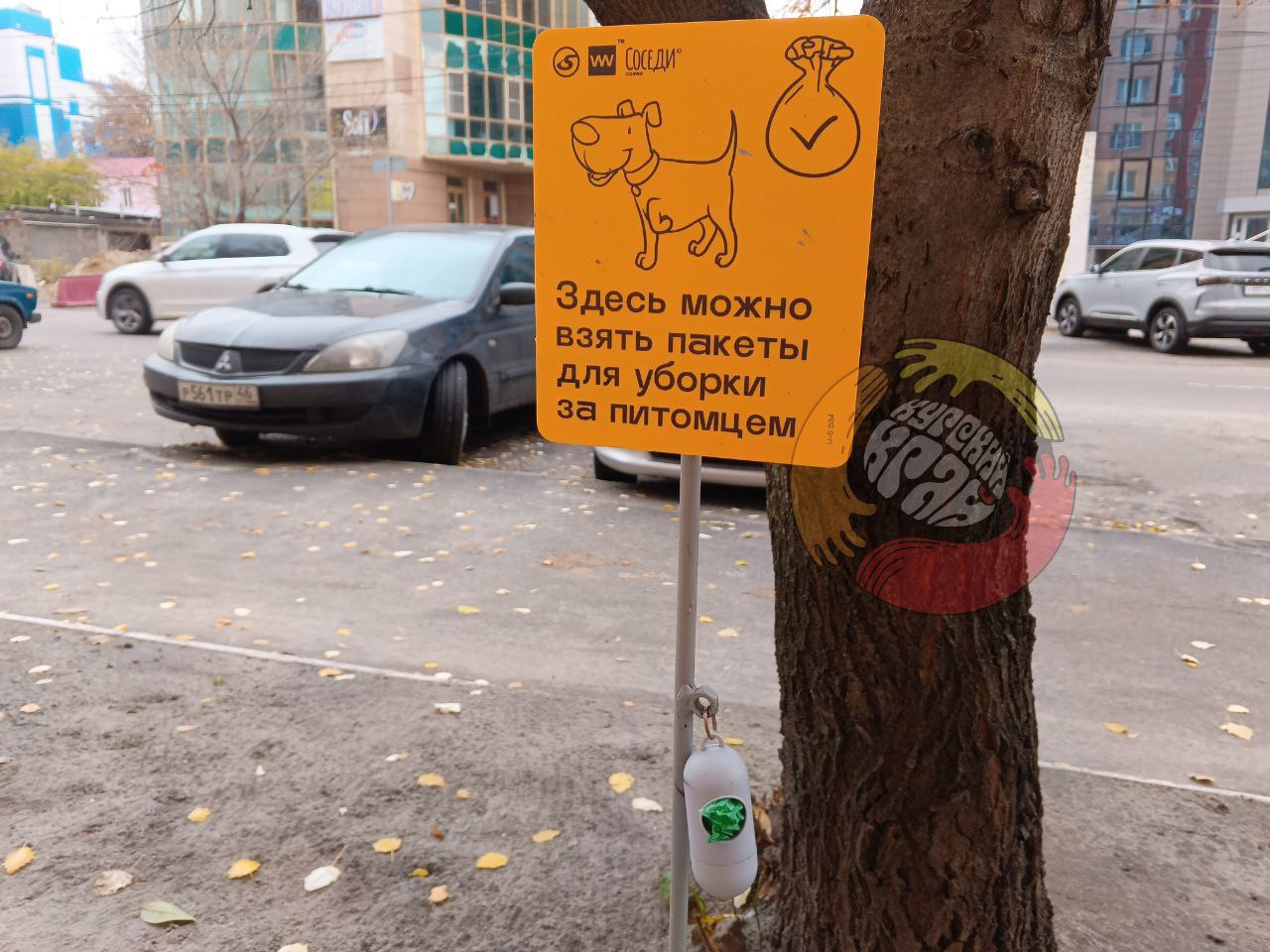 В Курске появился первый пункт бесплатной выдачи пакетов для уборки фекалий домашних животных