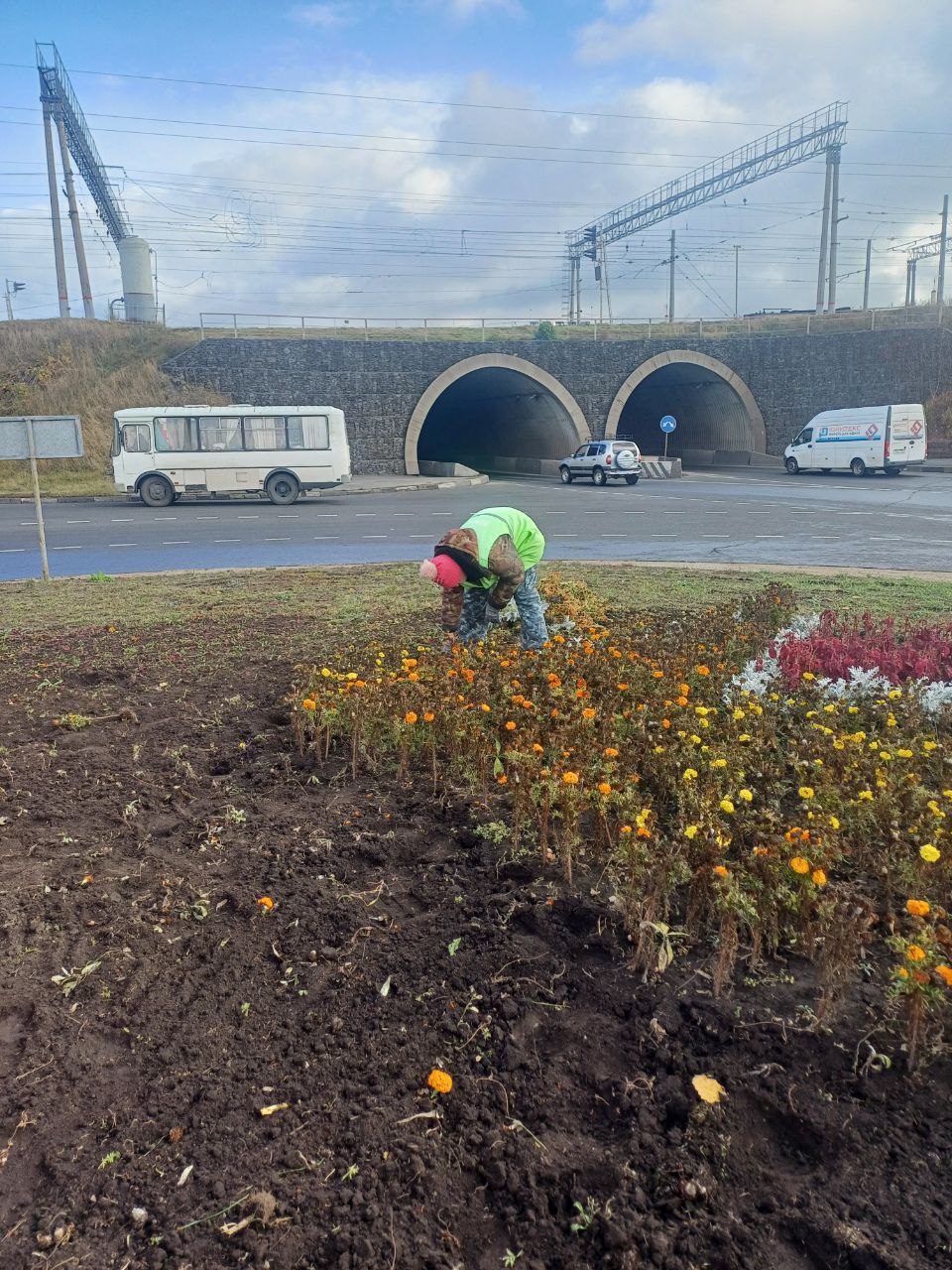 В Курске готовят цветники к зиме В Курске готовят цветники к зиме