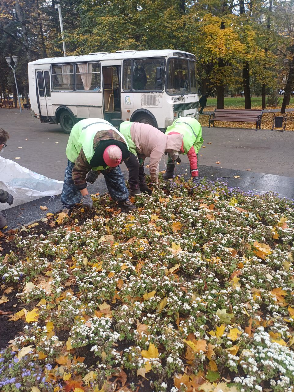 В Курске готовят городские клумбы к зиме В Курске готовят городские клумбы к зиме