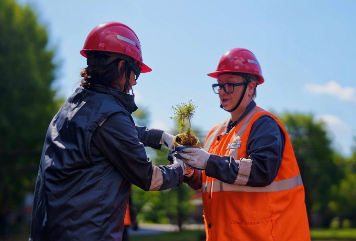 С 2019 по 2024 годы в отрасли образования и науки Курской области активно реализовывался национальный проект «Образование» С 2019 по 2024 годы в отрасли образования и науки Курской области активно реализовывался национальный проект «Образование»