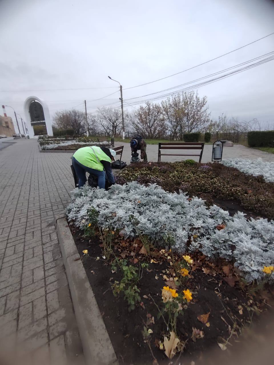 В Курске готовят цветники к зиме В Курске готовят цветники к зиме