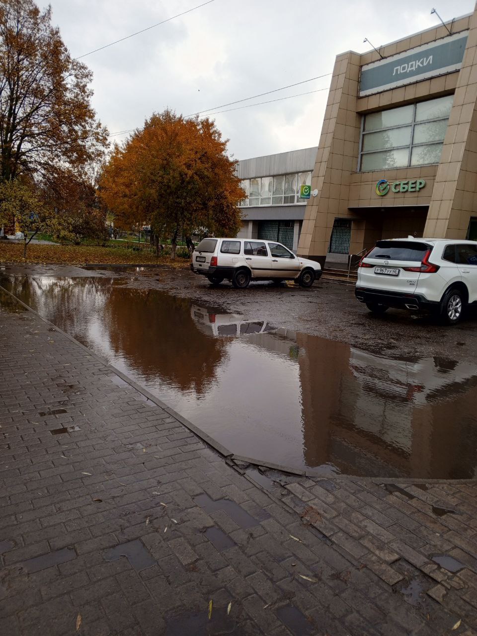 Нам пишут: "Как тут не вспомнить Гоголя и его описание Миргородской лужи Нам пишут: "Как тут не вспомнить Гоголя и его описание Миргородской лужи