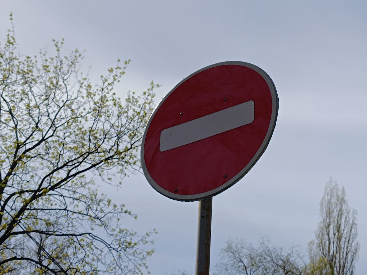 В Курске временно перекроют движение на участке улицы Павлуновского