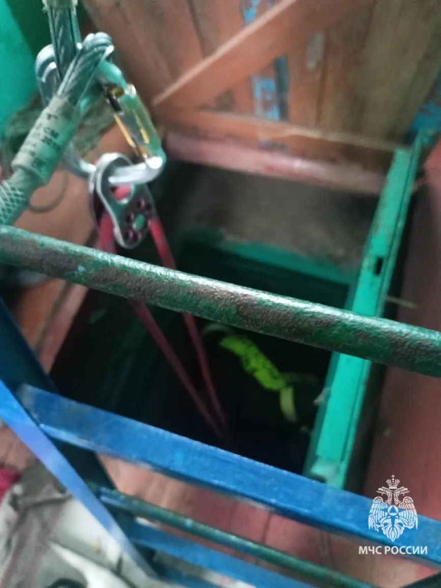 В Железногорске эвакуировали 77-летнего пенсионера, который упал в погреб и не мог самостоятельно выбраться В Железногорске эвакуировали 77-летнего пенсионера, который упал в погреб и не мог самостоятельно выбраться