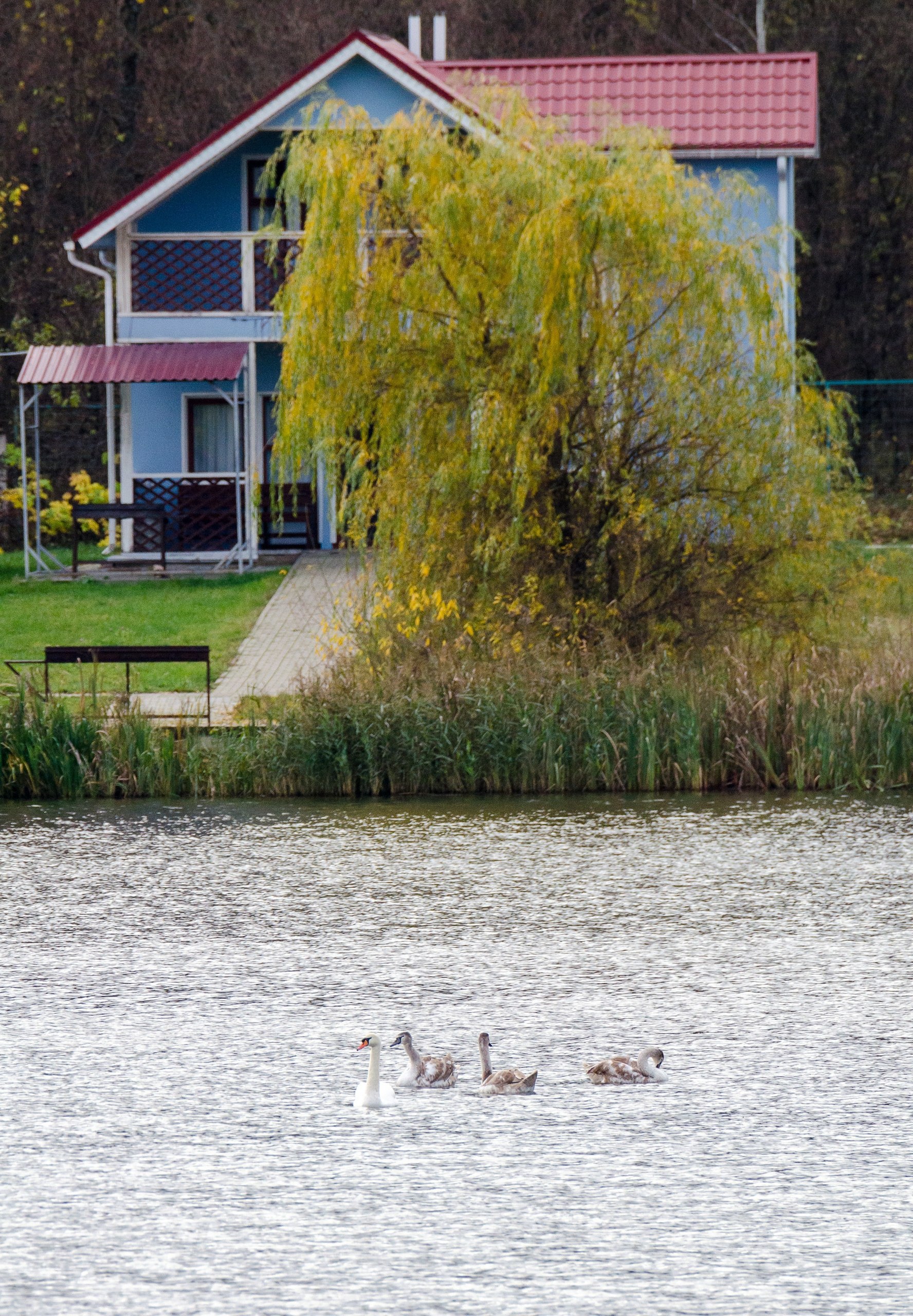 Доброе утро! Сегодня последний день октября Доброе утро! Сегодня последний день октября
