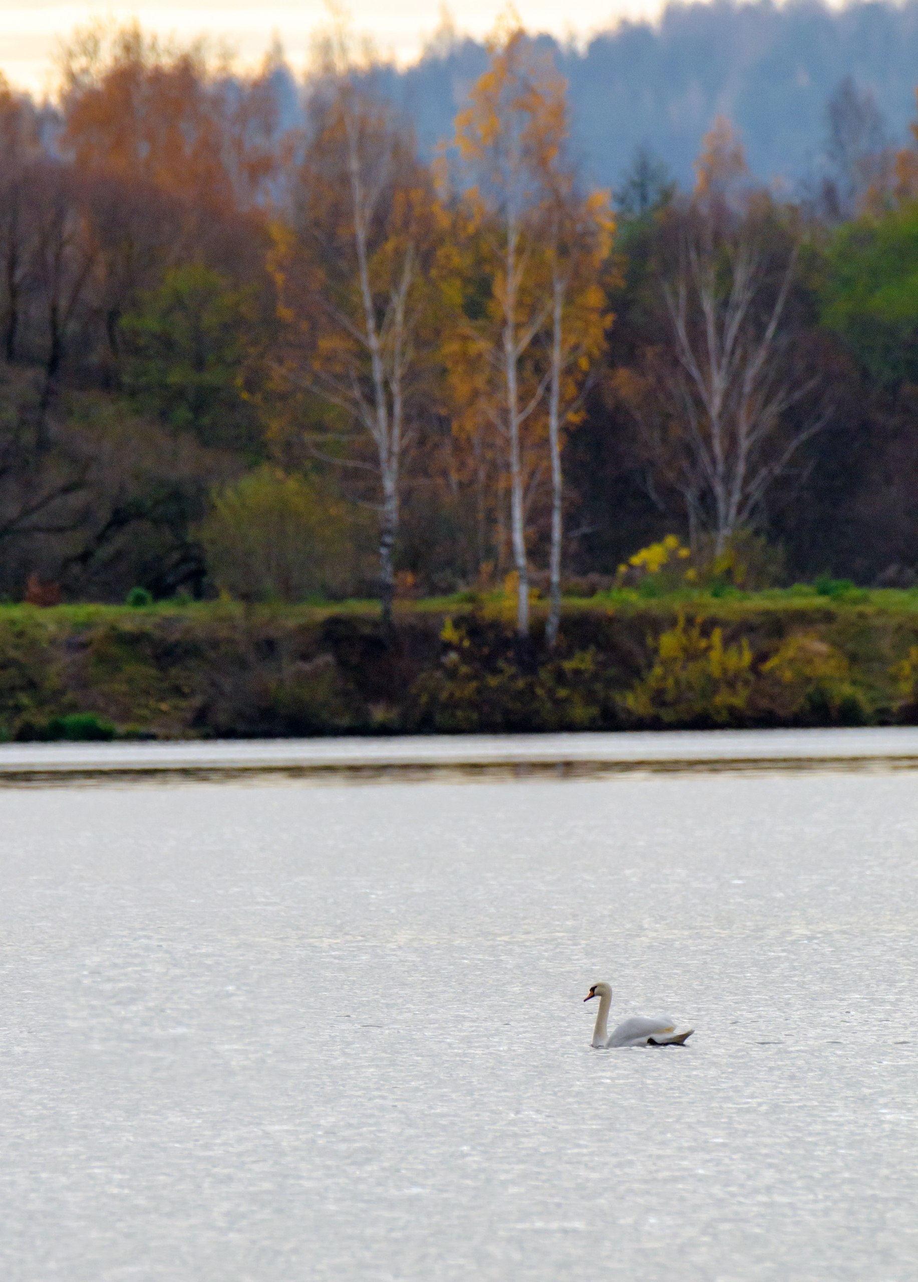 Доброе утро! Сегодня последний день октября Доброе утро! Сегодня последний день октября