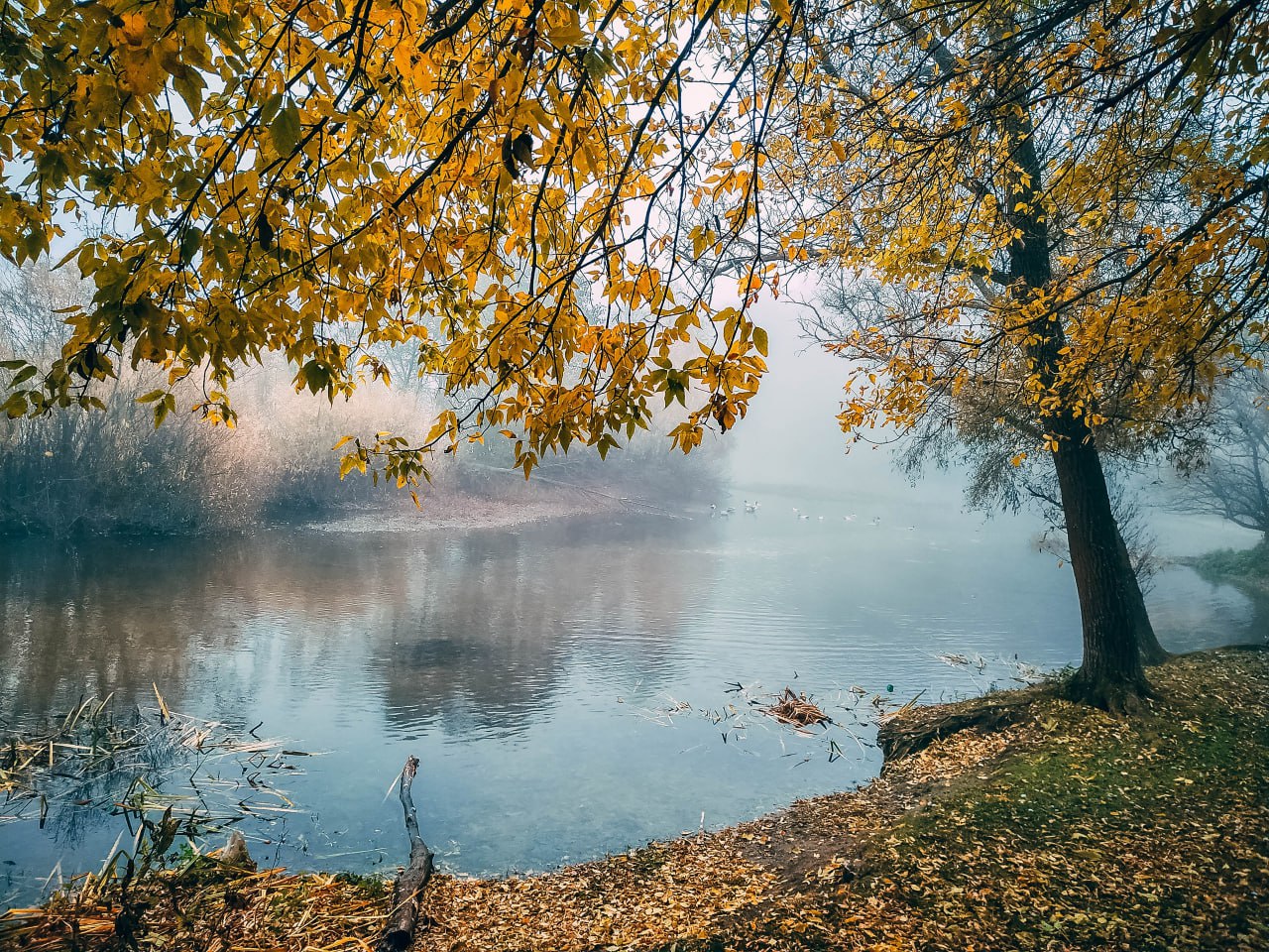 С добрым утром и светлым днём!