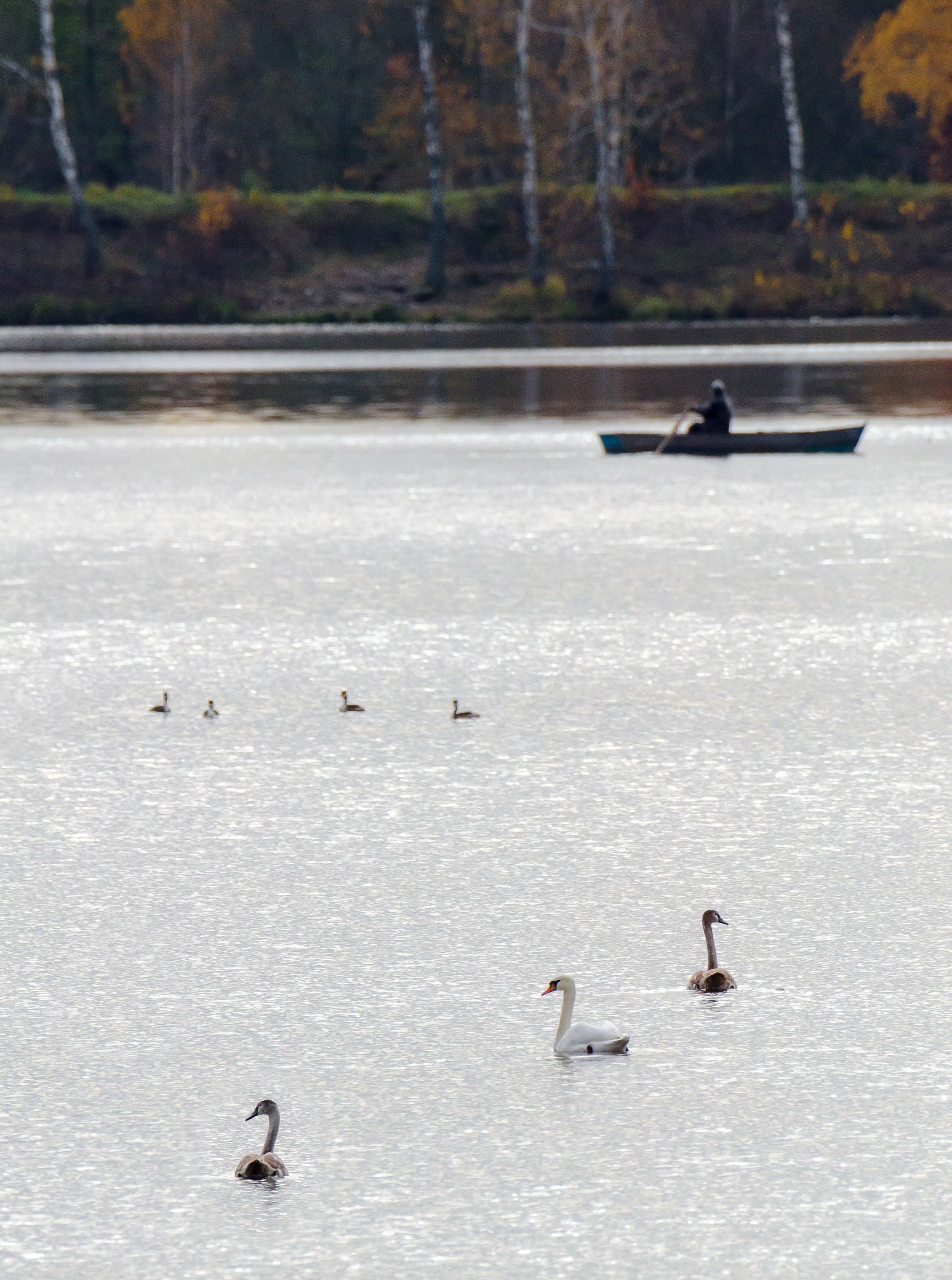 Доброе утро! Сегодня последний день октября Доброе утро! Сегодня последний день октября