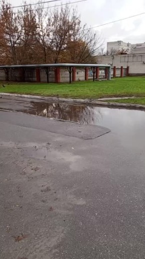 Нам пишут: "Как тут не вспомнить Гоголя и его описание Миргородской лужи