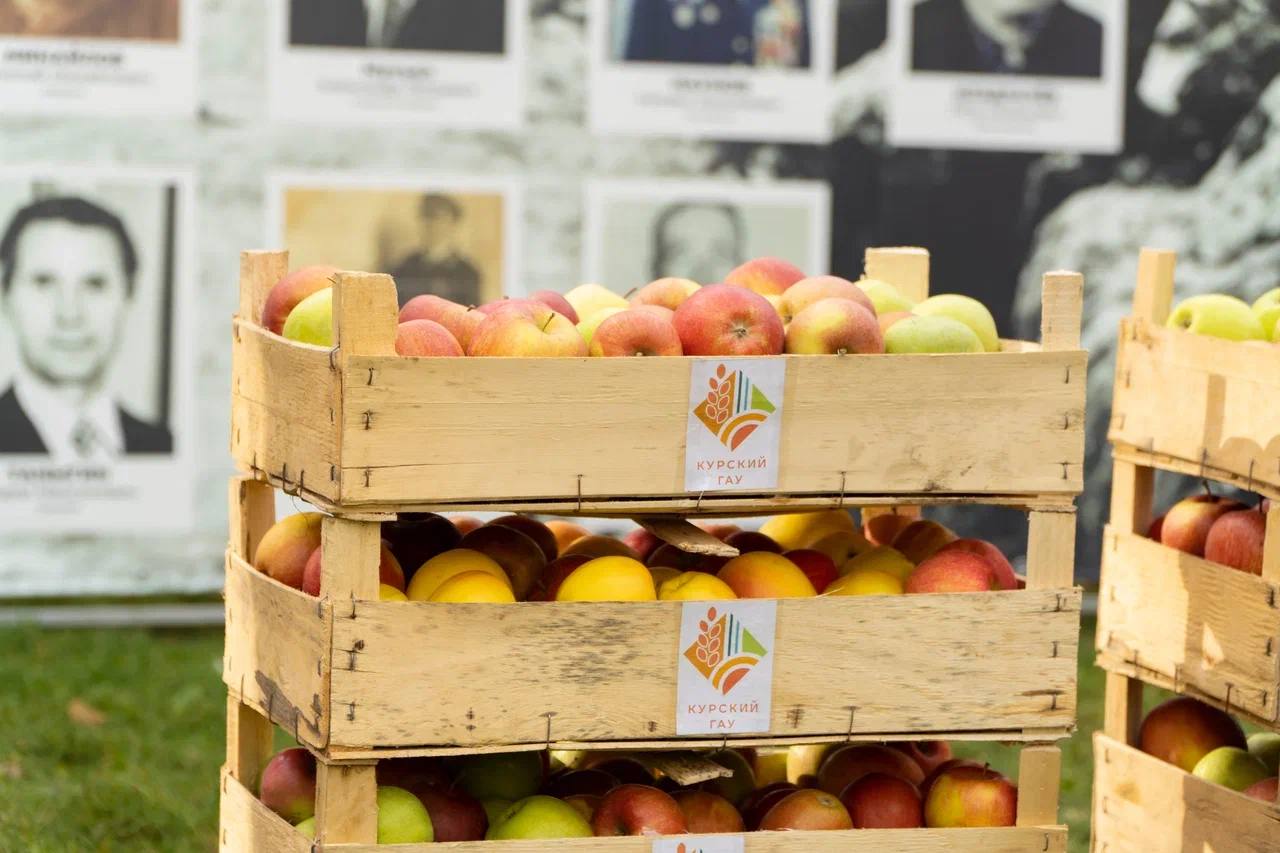 Екатерина Харченко: В преддверии Дня народного единства в Курском ГАУ приняла участие в по-настоящему доброй акции Екатерина Харченко: В преддверии Дня народного единства в Курском ГАУ приняла участие в по-настоящему доброй акции